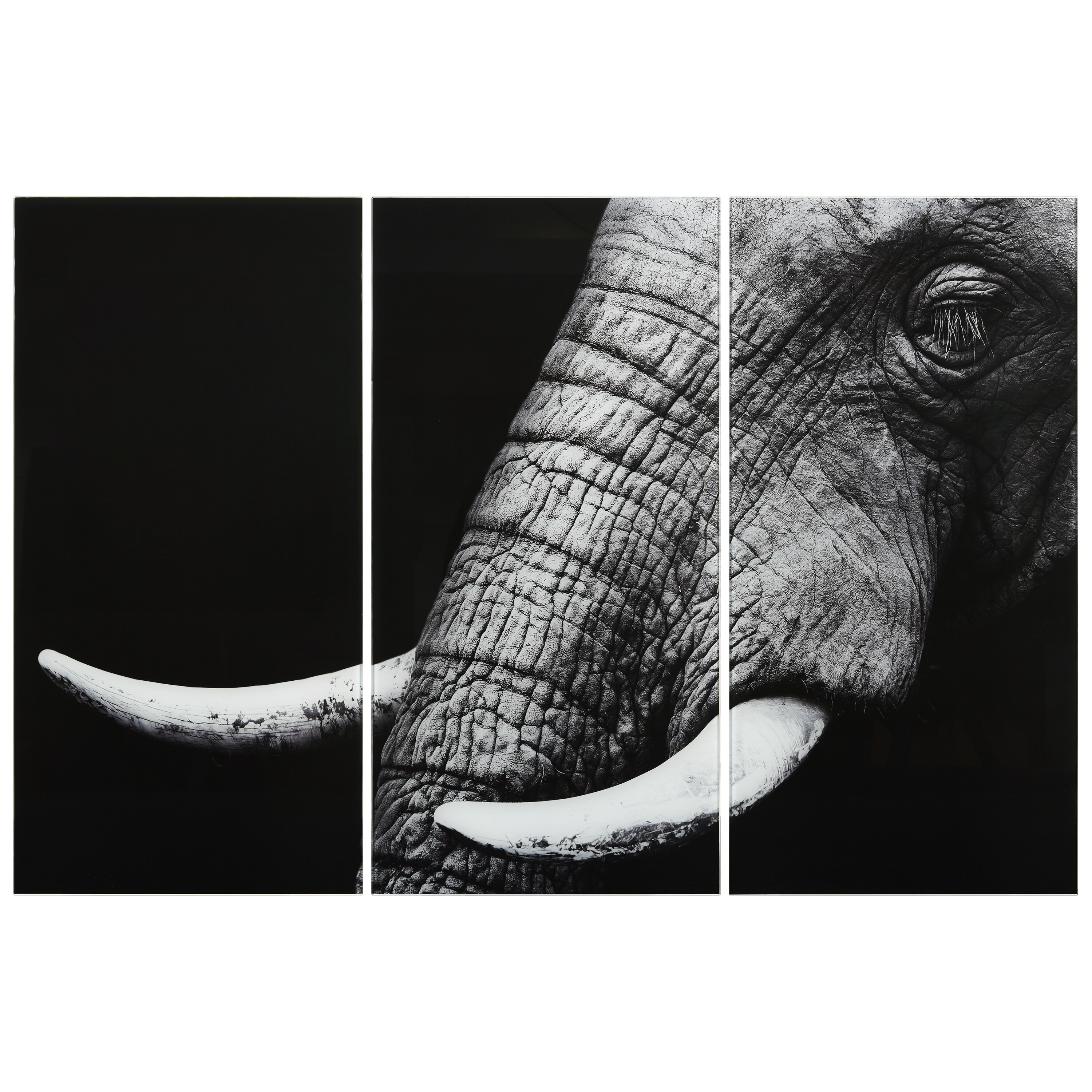 Elephant ABC Frameless Free Floating Tempered Glass Panel Graphic