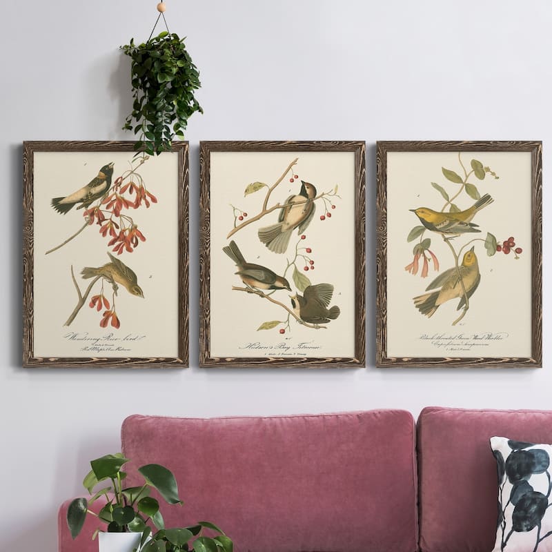 Wandering Rice Bird-Premium Framed Canvas - Ready to Hang - Multi-Color