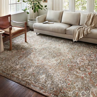 Alexander Home Valeria Distressed Medallion Area Rug