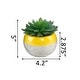 preview thumbnail 3 of 7, Succulent in Two tone lines pattern ceramic pot ,Teal - ONE-SIZE