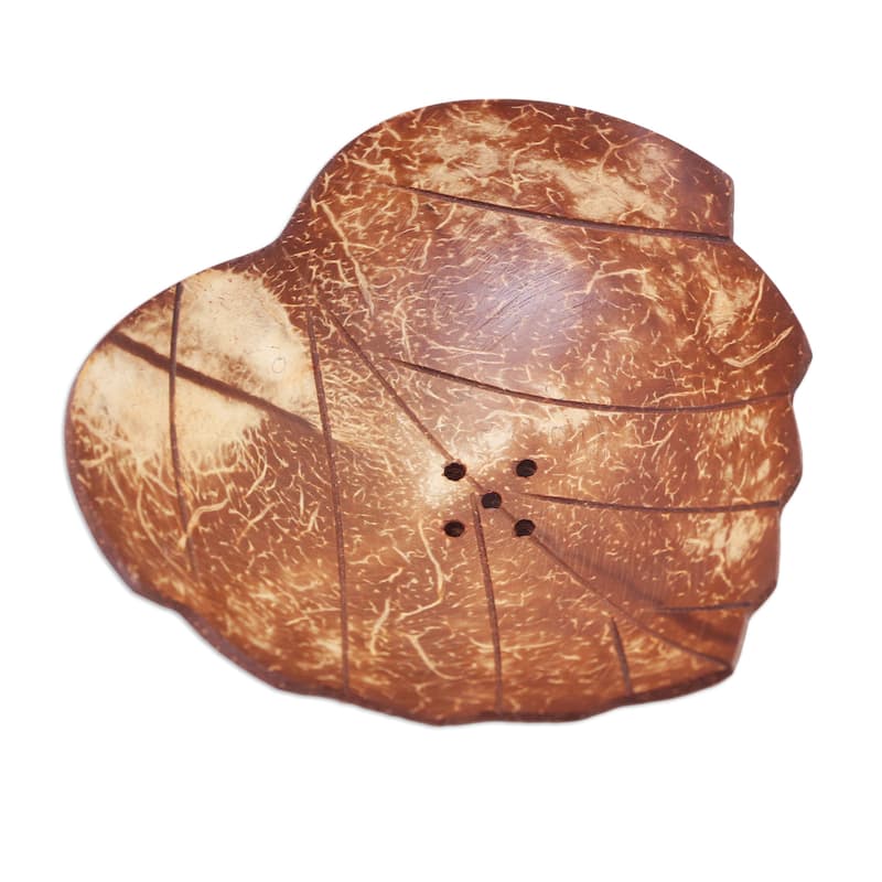Novica Handmade Clean Love Coconut Shell Soap Dish - Brown