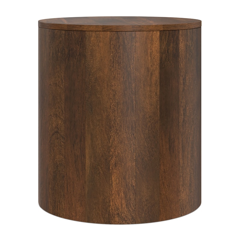 WYNDENHALL Hillmount 20 inch Wide Contemporary Side Table Assembled