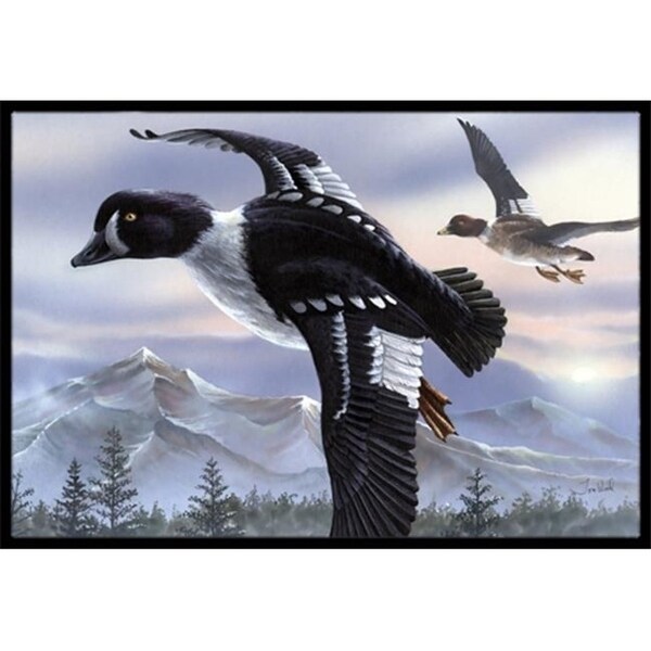 Carolines Treasures PTW2055JMAT Goldeneye Ducks Flying Indoor & Outdoor Mat 24 x 36 in.