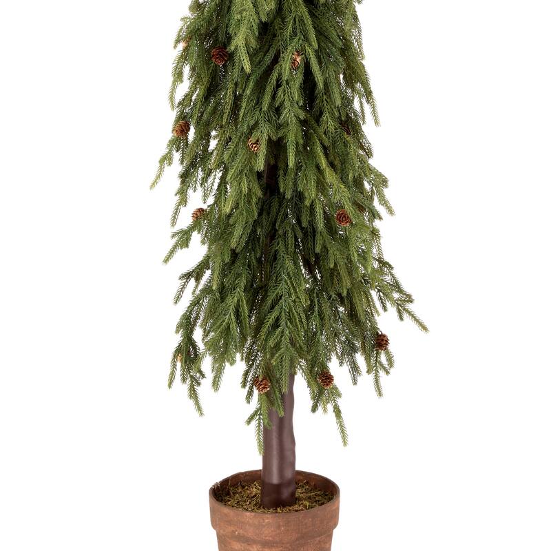 60" Uv Potted Soft Touch Norfolk Pine Tree