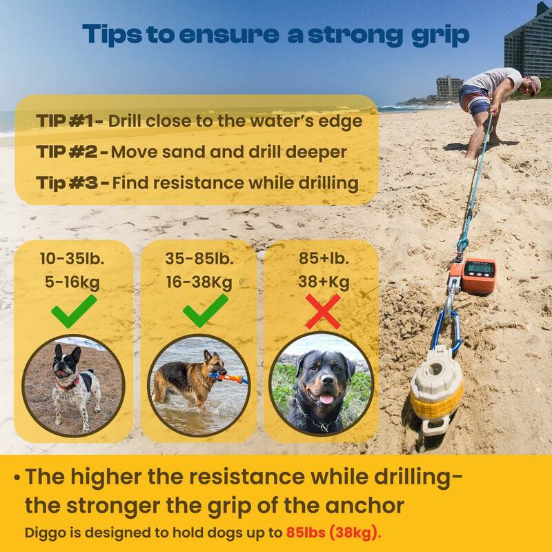 Diggo Dog Stake Beach Anchor - Dog Beach Essentials for All Dog Sizes - 1pc