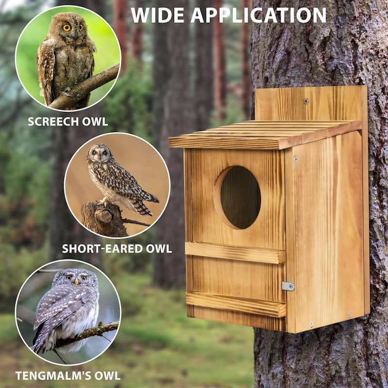 Brown Wood Outdoor Screech Birdhouse with Ventilation and Scratching Pole - 9 x 7.5 x 14.5 inches (L x W x H)