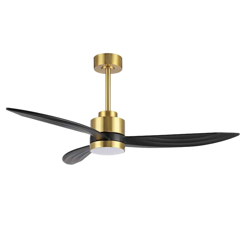 WINGBO 64-inch 3-Blades Indoor Celiing Fan with LED Light, White
