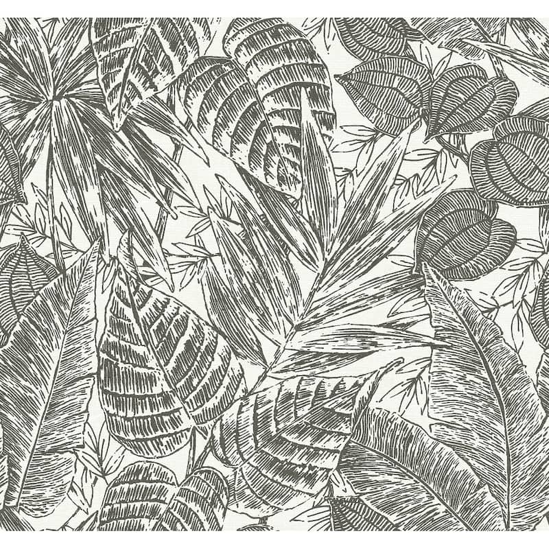 Scott Living Brentwood Black Palm Leaves Wallpaper