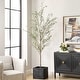 preview thumbnail 2 of 0, Uttermost Abundance Potted Olive Tree
