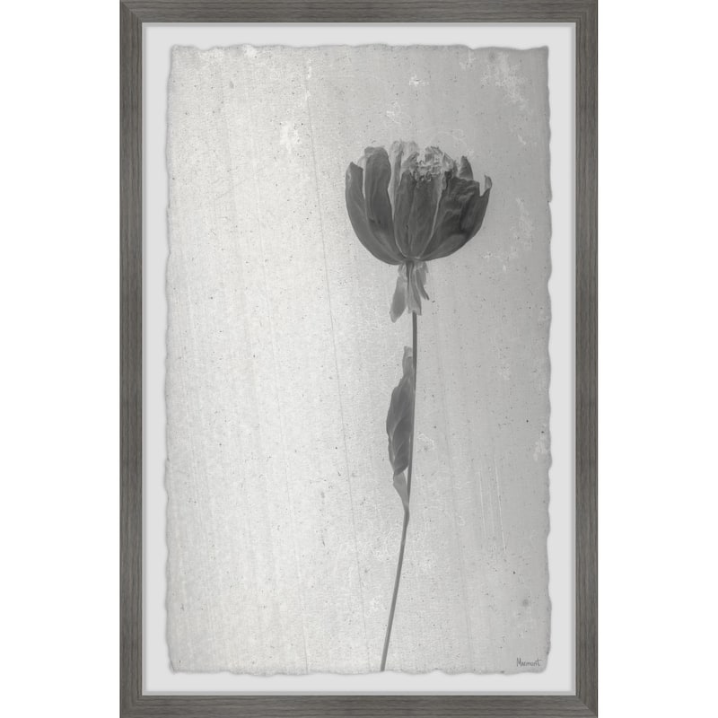 Beauty and Purity Framed Print