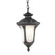 preview thumbnail 1 of 1, Livex Lighting Oxford 3 Light Outdoor Pendant