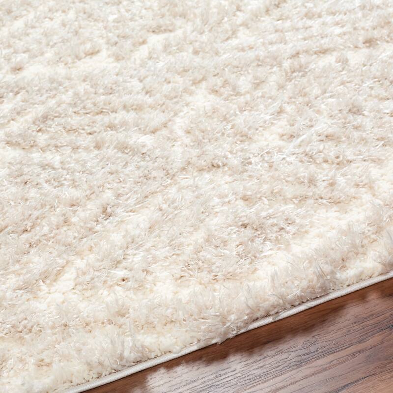 Auston Shag Area Rug
