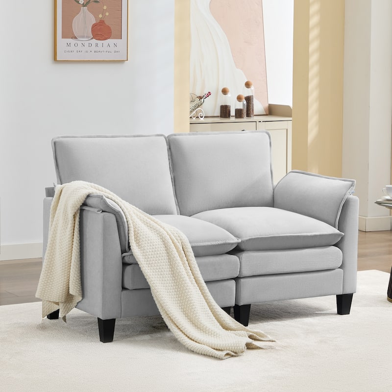 Luxury 2-Seat Sofa – Cloud-Like Comfort, Sturdy Design – For Living Rooms & Offices - Grey