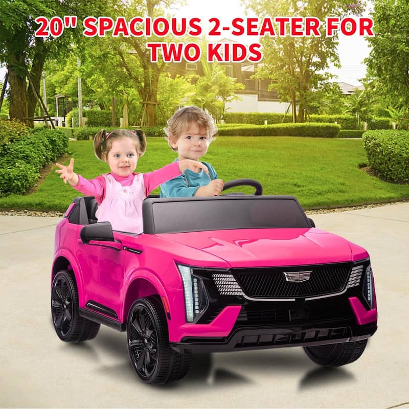 2 Seater Ride on Car for Kids 24V Electric Car Toy