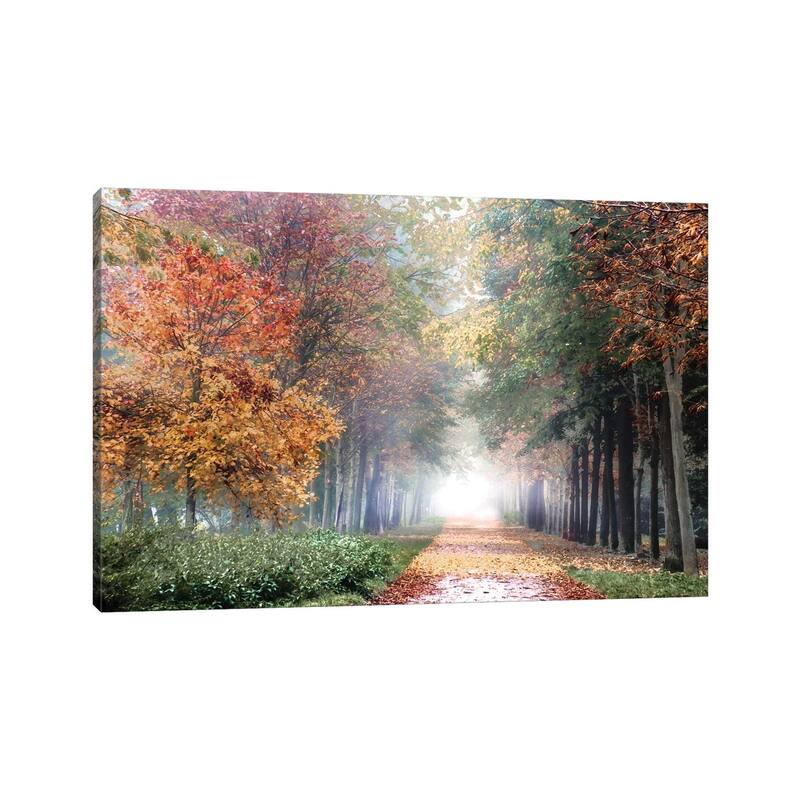 iCanvas "Breath" by Irene Weisz Canvas Print