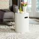 Option Ivory