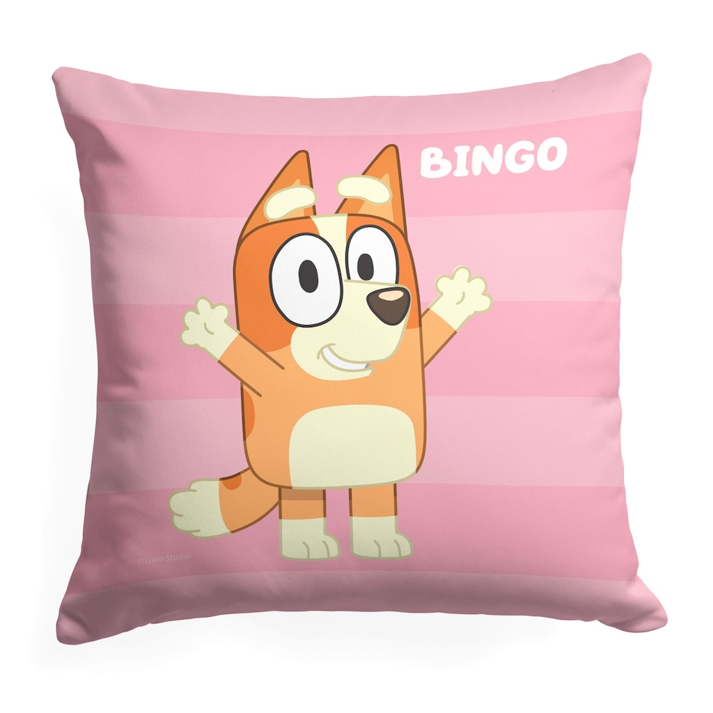 Bluey Roll Call Bingo 18 Inch Throw Pillow