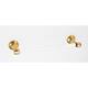 Option Unlacquered Brass