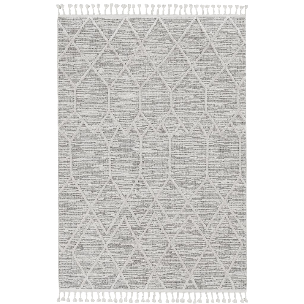 The Gray Barn Courtenay Textured Abstract Boho Rug with Fringe