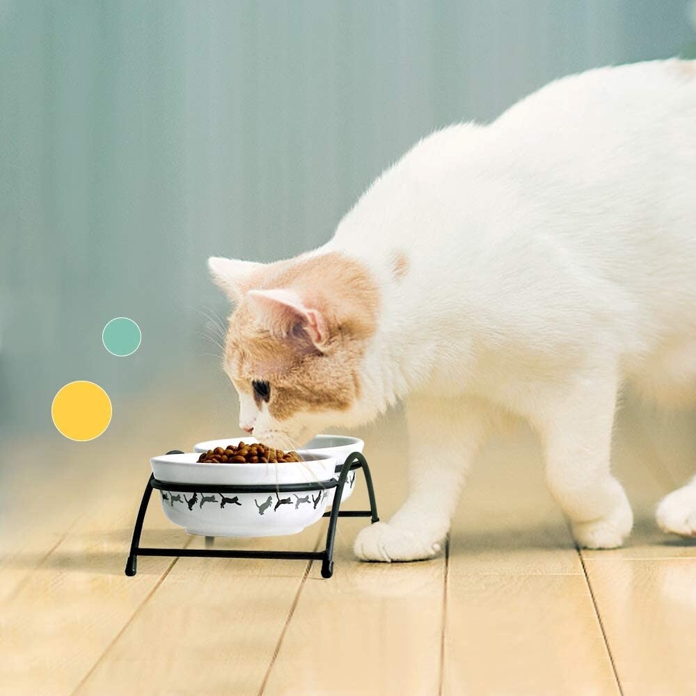 https://ak1.ostkcdn.com/images/products/is/images/direct/c0623ad19e128a09f6e363449a4d0c5400f19675/Y-YHY-Cat-Bowls-Elevated%2C-Cat-Food-Dish-Raised%2C-Ceramic-Pet-Dishes-for-Cat-or-Dogs%2C-12-Ounces.jpg