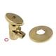 Option Polished Brass
