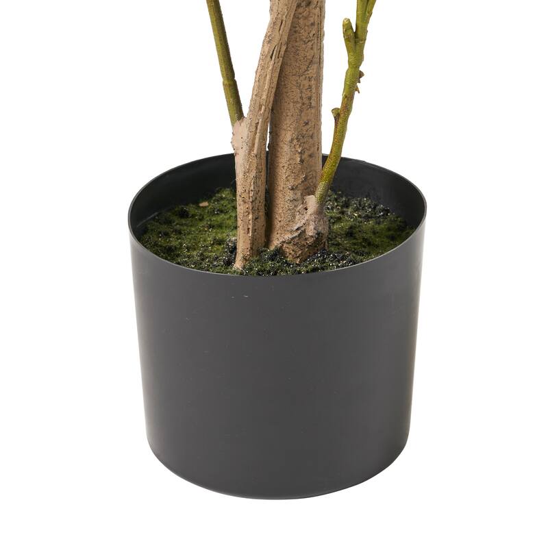 Atoka 5.5' x 2' Artificial Laurel Tree by Christopher Knight Home