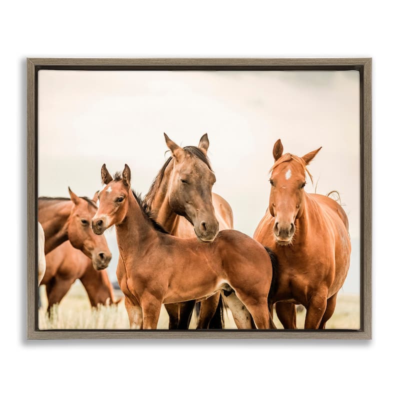 Stupell Horse & Foals Photography Framed Floater Canvas Wall Art Design by Krista Broadway - 31 x 25 - Brown
