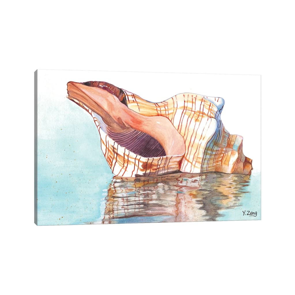 iCanvas "Seashell" by Yue Zeng Canvas Print