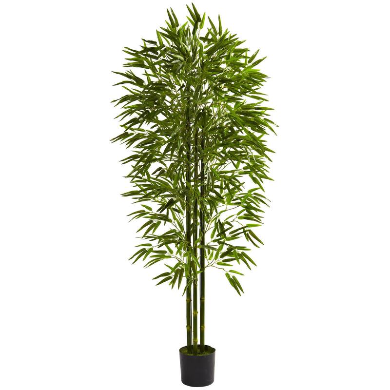 Bamboo Tree Indoor Outdoor 6ft, 72 Inch Tall Decorative Plant, 3 Trunk Serene Home Decor Gift - 6ft.