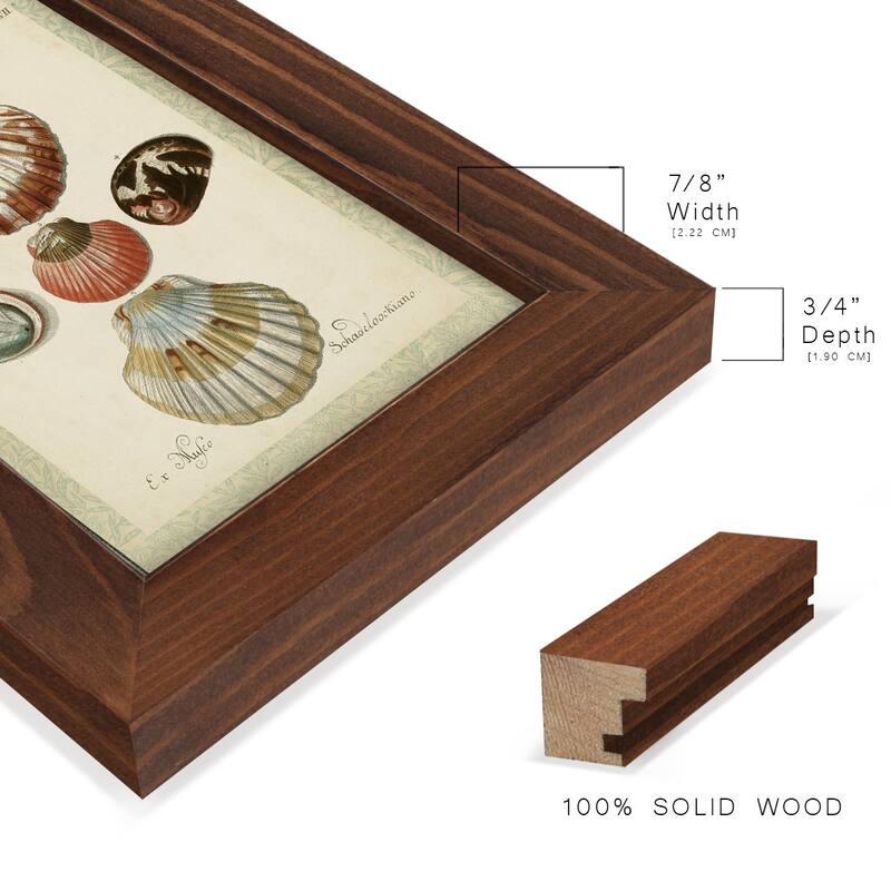 Bookplate Shells III -Framed Print w/glass-Cherry Red