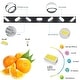 preview thumbnail 7 of 7, Modern 7-Light LED Vanity Fixture - Black Iron Finish with Acrylic Shades, Dimmable & Energy-Efficient