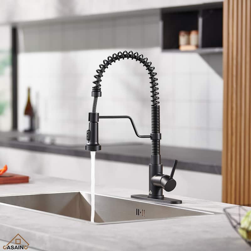 Single Handle Pull-Down Sprayer Kitchen Faucet - Black