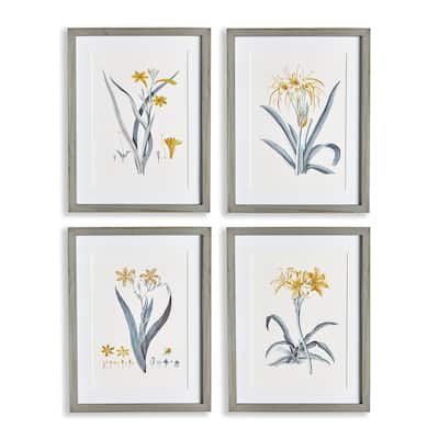 daffodil prints, set of 4