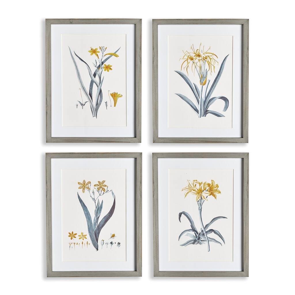 daffodil prints, set of 4