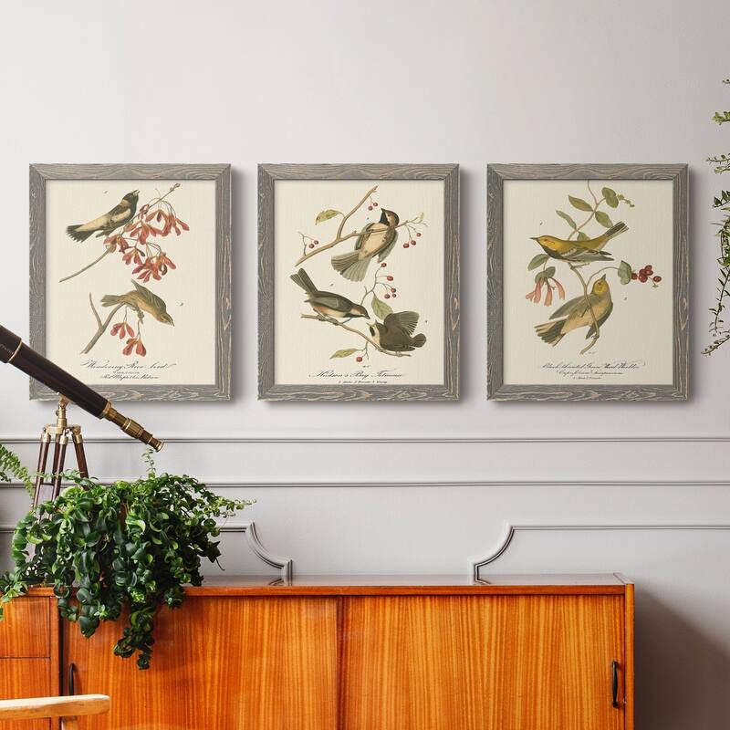Wandering Rice Bird-Premium Framed Canvas - Ready to Hang - Multi-Color