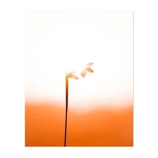 flower-photography-family-floral-botanical-nature-art-print-poster