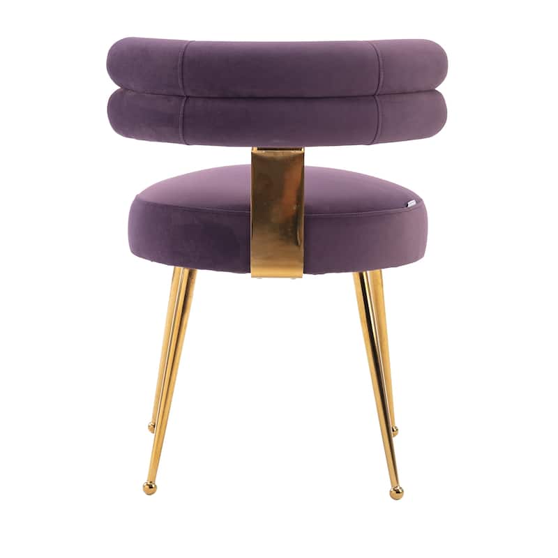 Velvet Upholstered Tubulous Side Dining Chair with Golden Legs(set of 2)