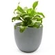 preview thumbnail 103 of 111, Tapered Round MgO Planter, Indoor and Outdoor
