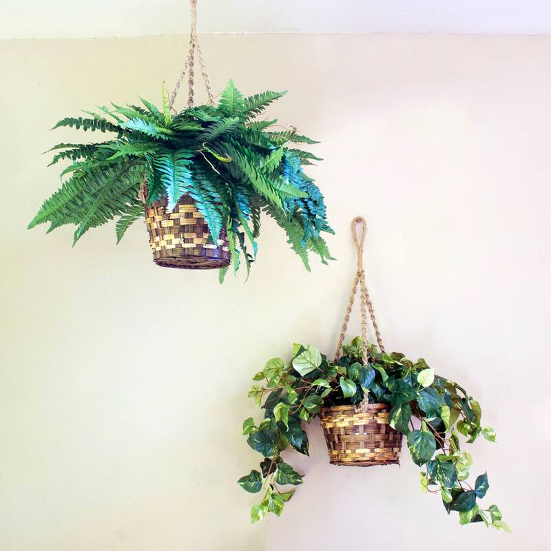 indoor plant trellis Steel Hexagon Plant Trellis, 3 Sizes Available – On Ya Garden