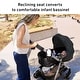 preview thumbnail 4 of 4, Graco Modes Pramette Travel System, Ellington - N/A