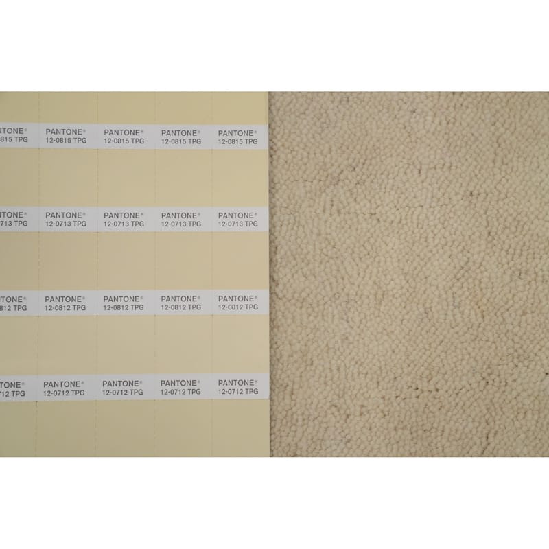 Hand Knotted Oriental 100% Wool Carpet Tribal Animal Pictorial Beige & Ivories Gabbeh Area Rug - 6' 5'' X 6' 7''