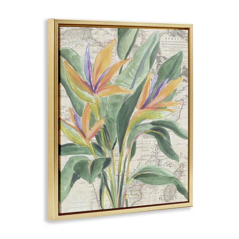 Stupell Bird of Paradise over Map Framed Floater Canvas Wall Art Design By June Erica Vess