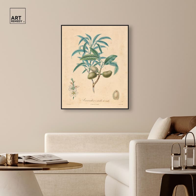 Almond of Georgia II Canvas by Art Remedy
