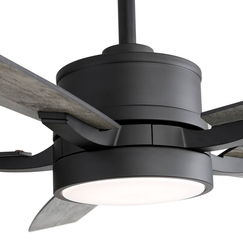 65 Inch Black LED Ceiling Fan with Light and Remote(5-Blade)