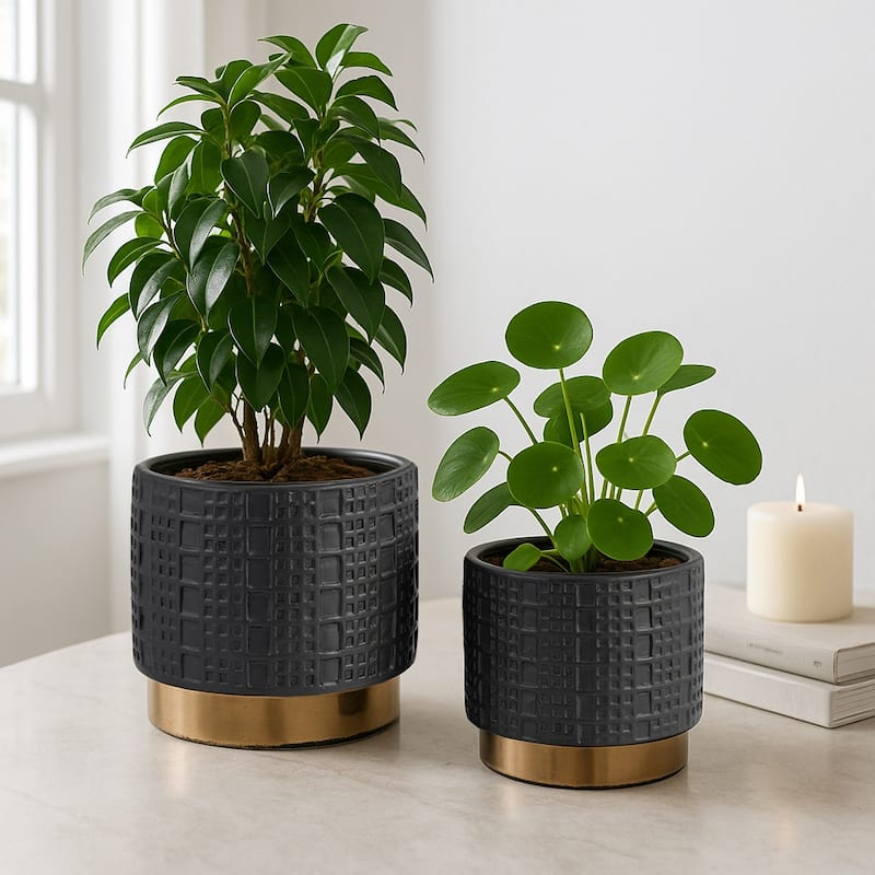 Ceramic Raised Mesh Planter Set of 2 - Black, 6/8 in. - Black - 8.0"