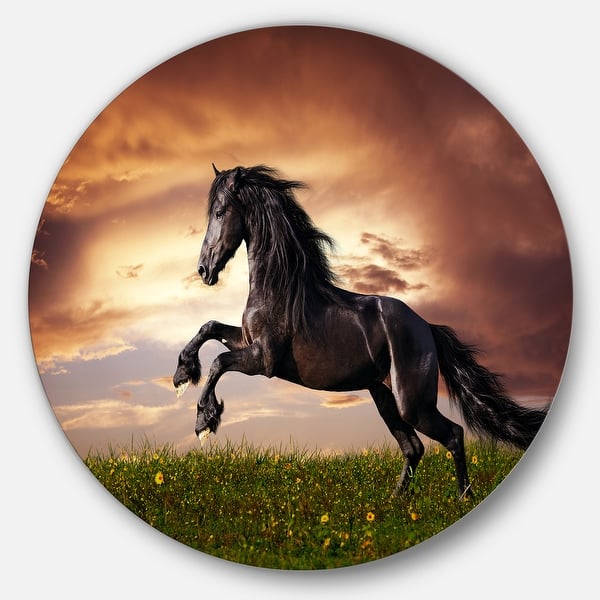 slide 2 of 16, Designart 'Black Friesian Horse Gallop' Animal Photography Metal Wall Art 23 x 23 - disc of 23 inch
