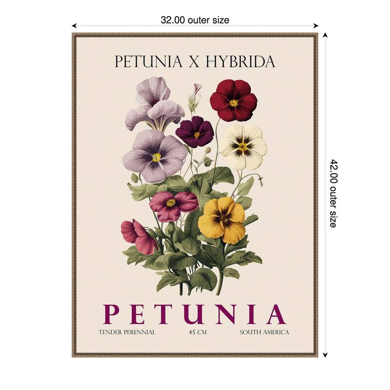 Vintage Botanical Petunia Illustration by Christopher Giampietro Framed Canvas Wall Art Print - Gold - 32 x 42 in