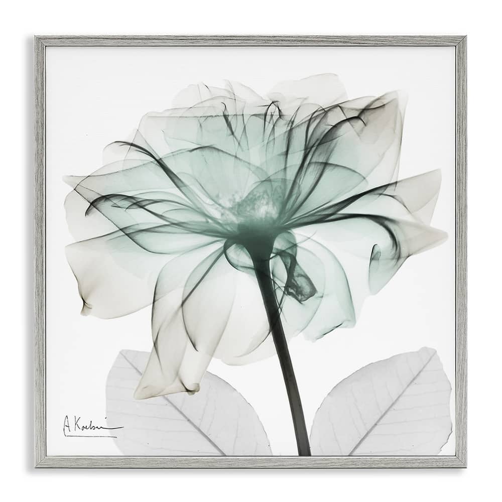 Stupell Unique Chic Flower Petal Framed Giclee Art Design By Albert Koetsier