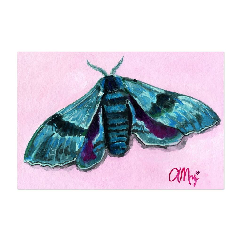 Turquoise Moth Illustrations Butterfly Art Print/Poster