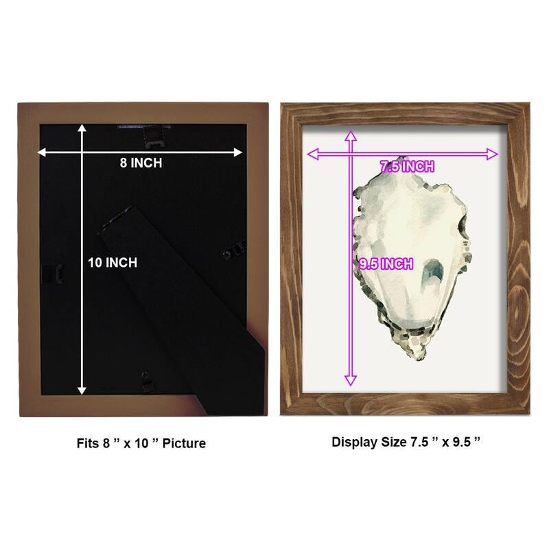 Neutral Oyster Study IV -Framed Print w/glass-Cherry Red